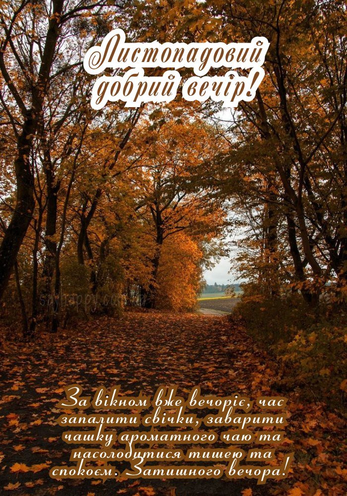 лагідний листопадовий вечір