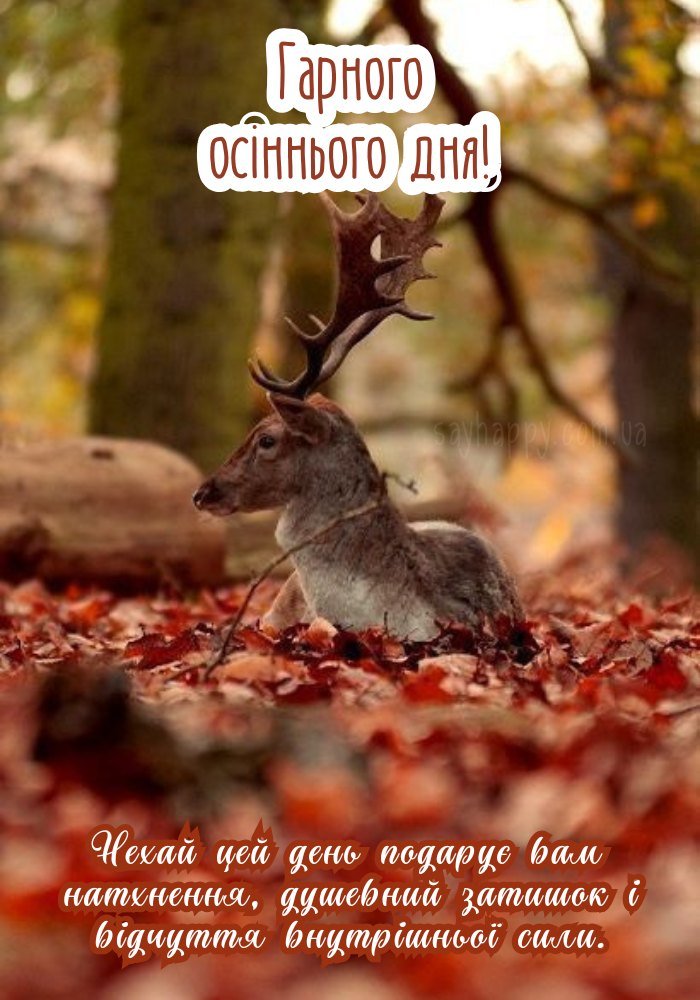 Нехай цей осінній день принесе затишок