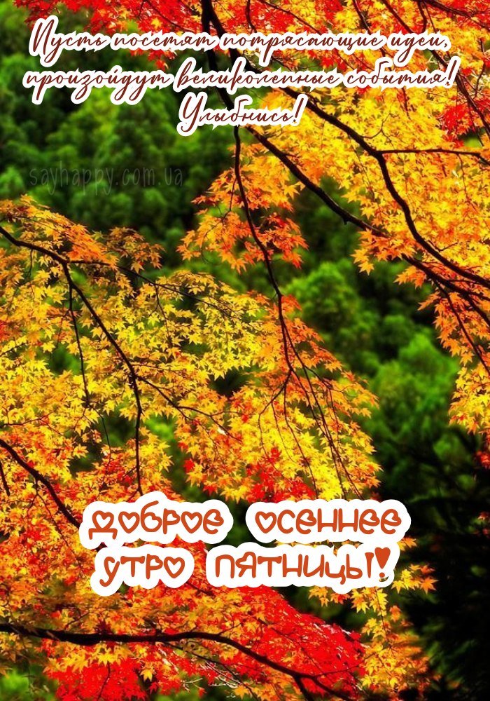 Осінній ранок п'ятниці