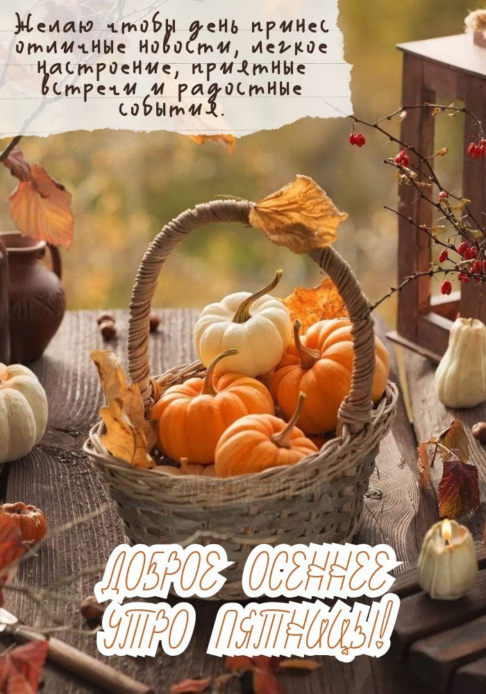 П'ятниця – час для свіжих ідей