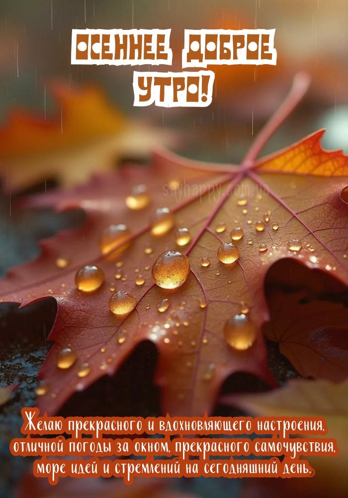 Осінній ранок як джерело натхнення.