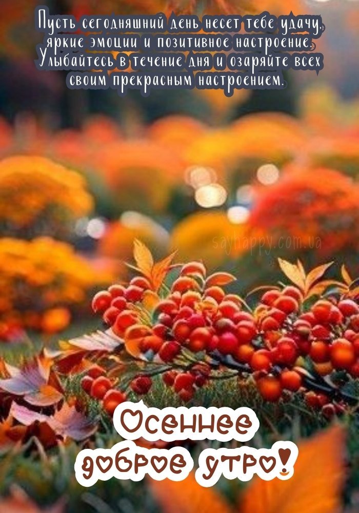 Осінній ранок з позитивними змінами.