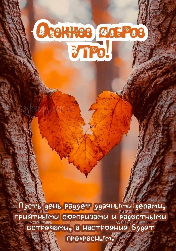 Добрий осінній ранок з ароматом свіжого дня.