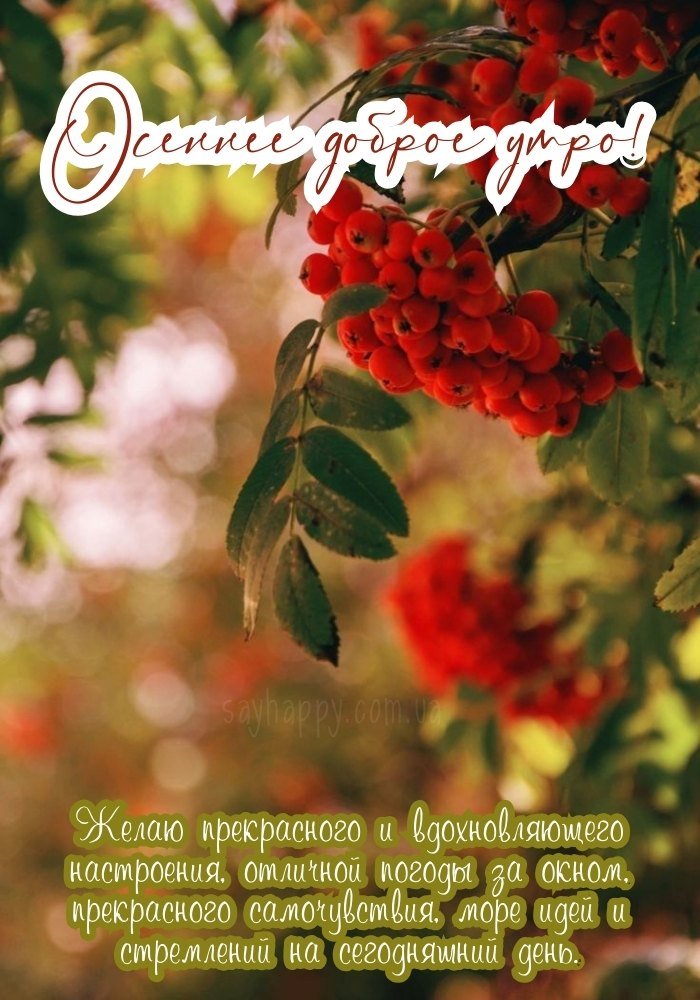 Свобода в осінньому ранок.