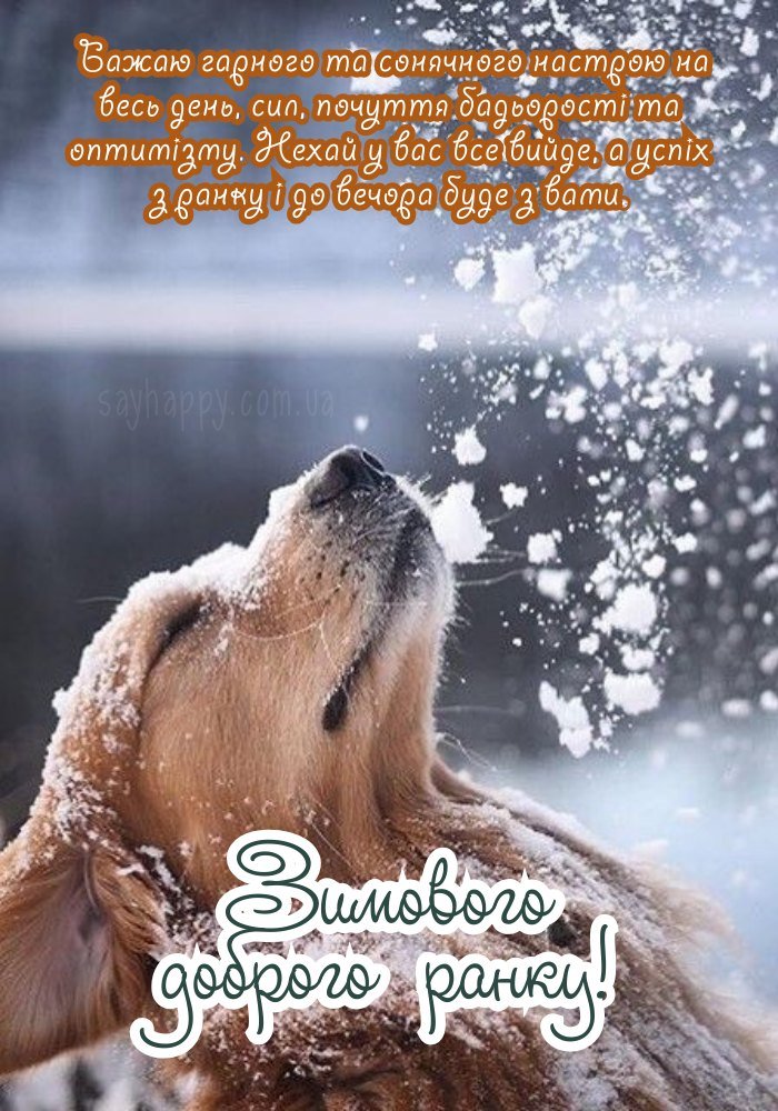 Гармонія зимового ранку