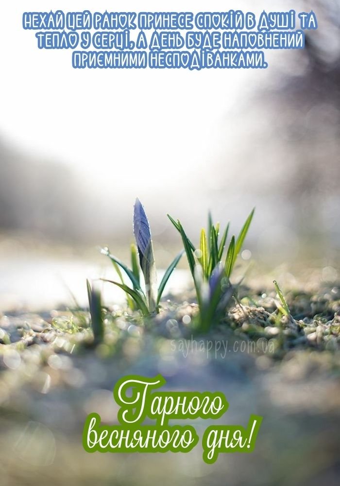 Весняний натюрморт