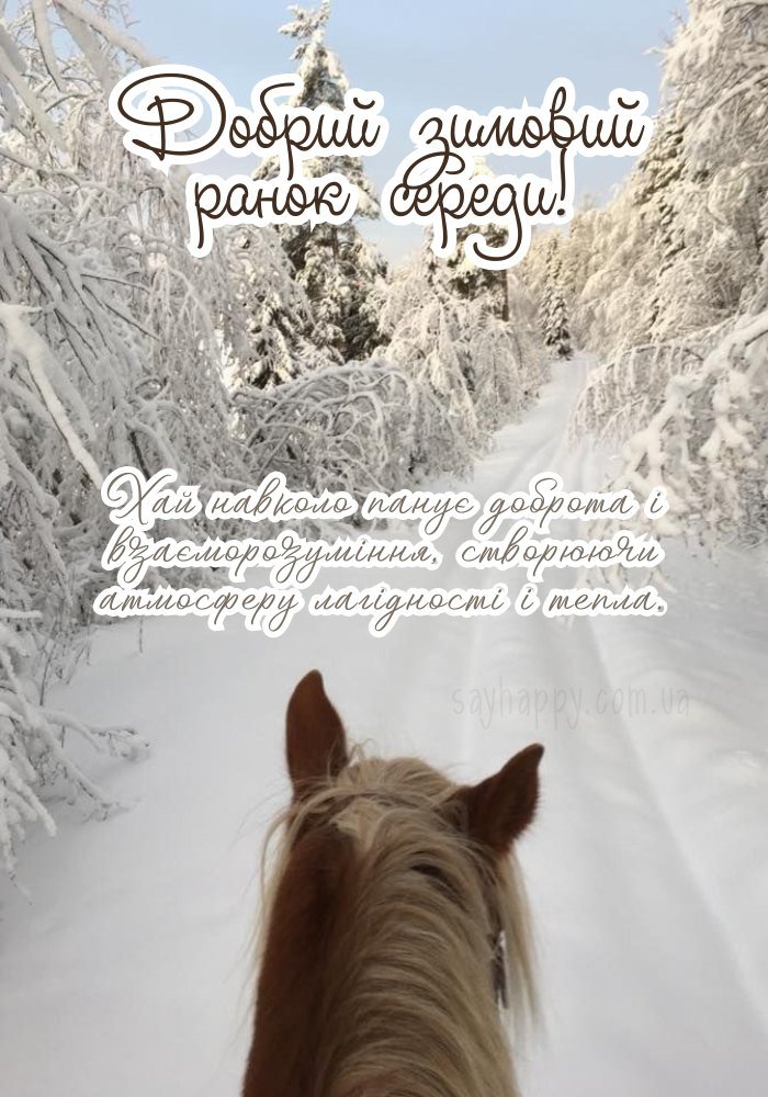 Фото 3: Спокійний зимовий ранок