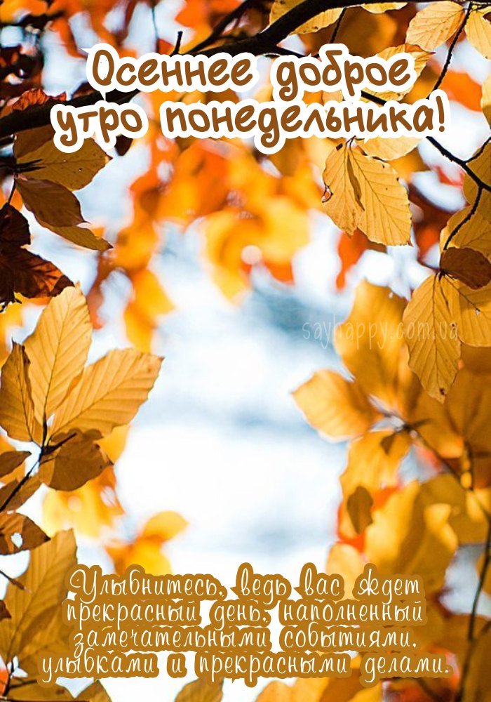 Приємні емоції осіннього ранку понеділка