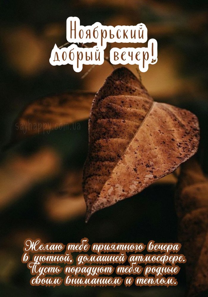 Доброго листопадового вечора, що приносить світлий настрій
