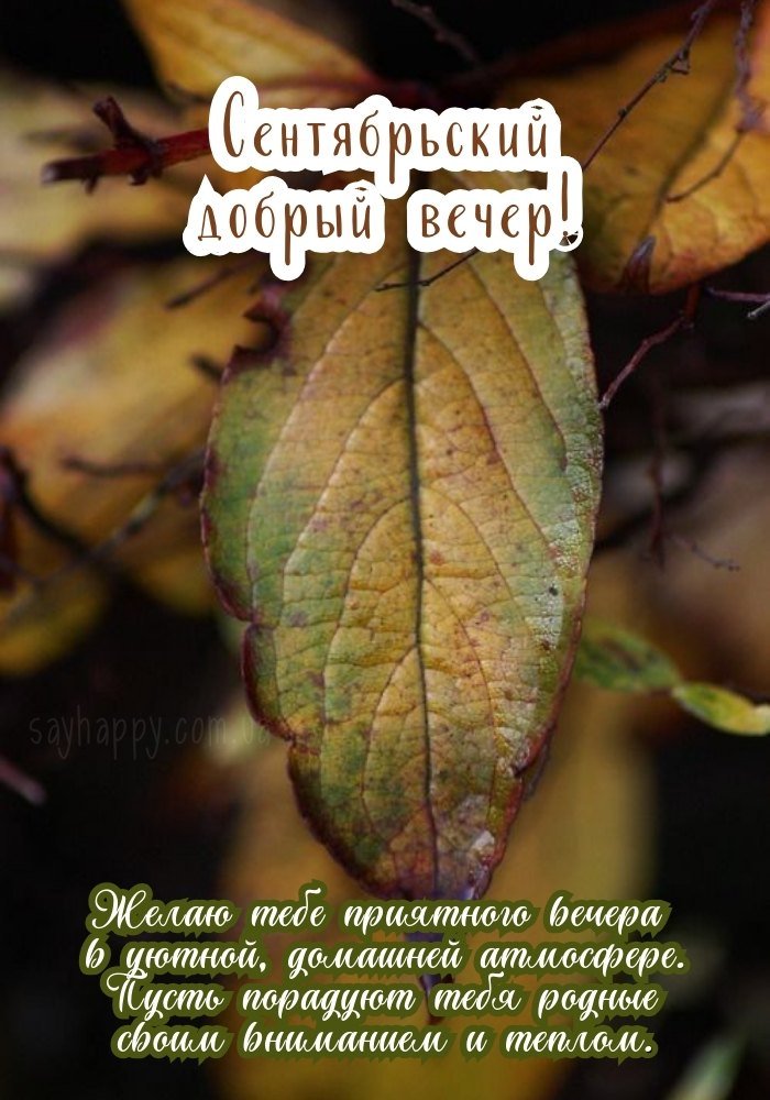 Нехай красивий вересневий вечір подарує вам нові емоції.