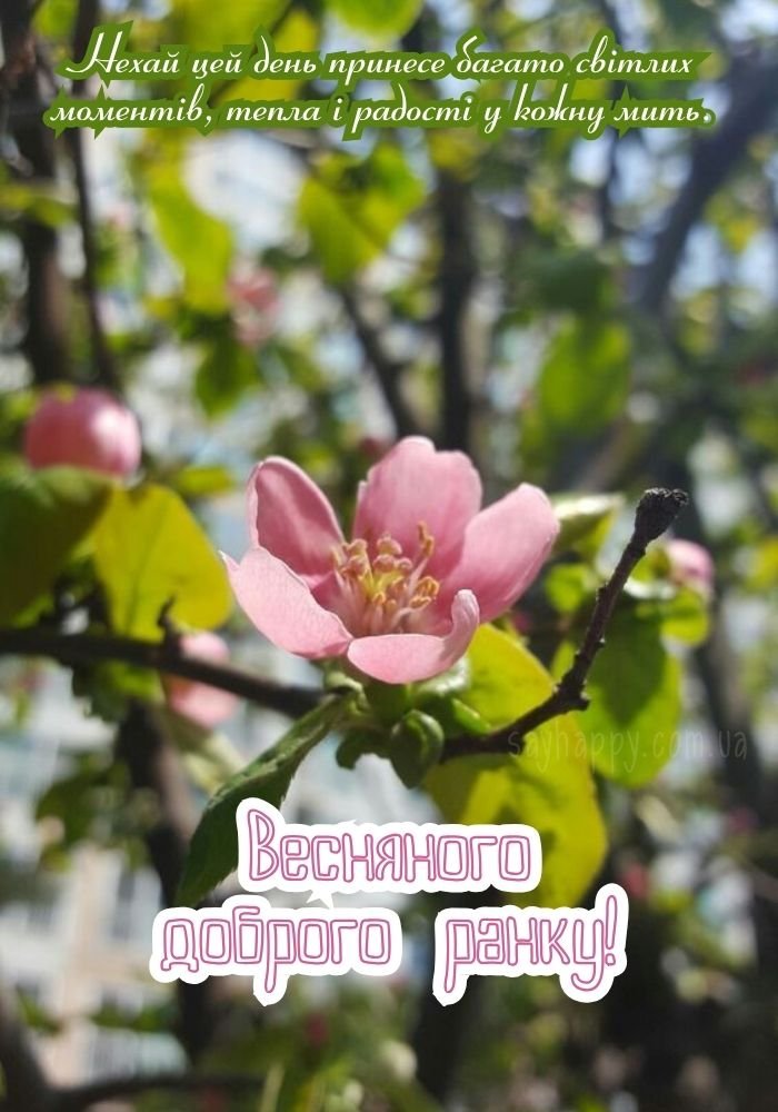 Новий день