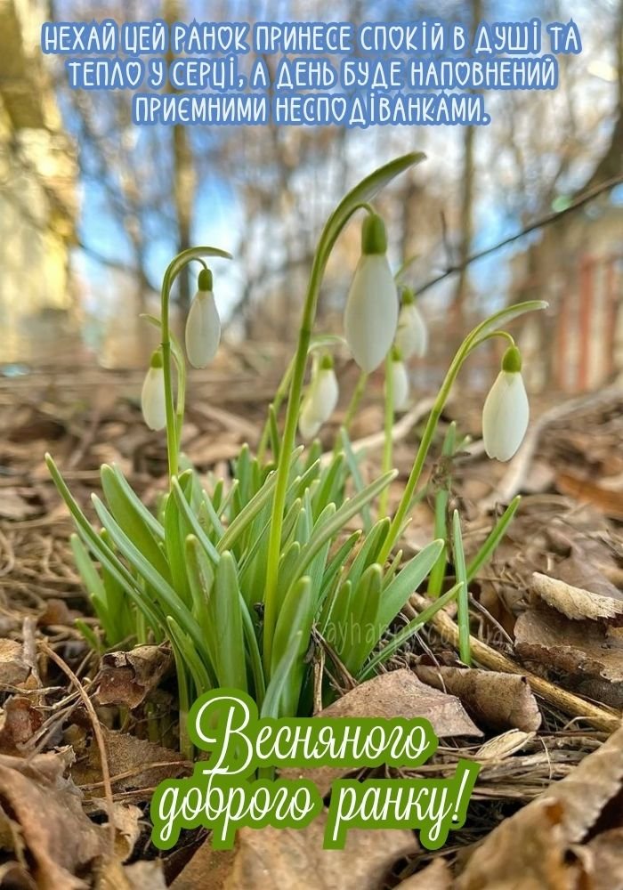 Природа