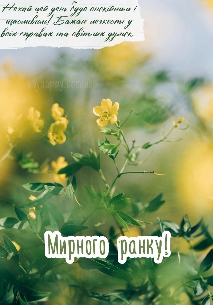 Нехай ранковий спокій наповнить душу світлом і радістю.