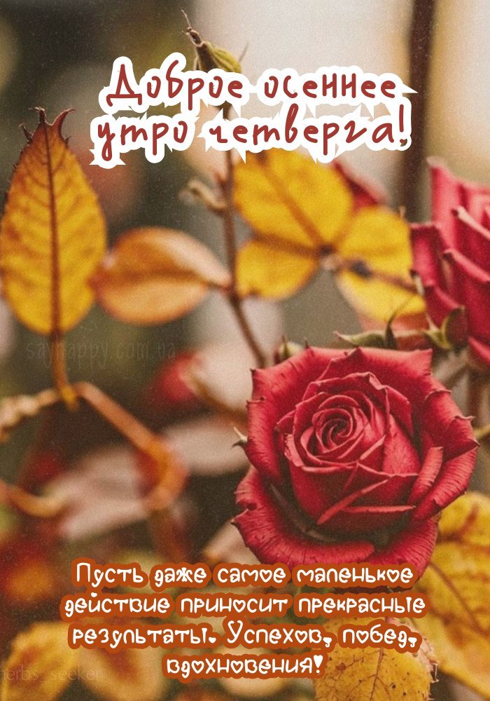 Прекрасного ранку четверга, наповненого гармонією
