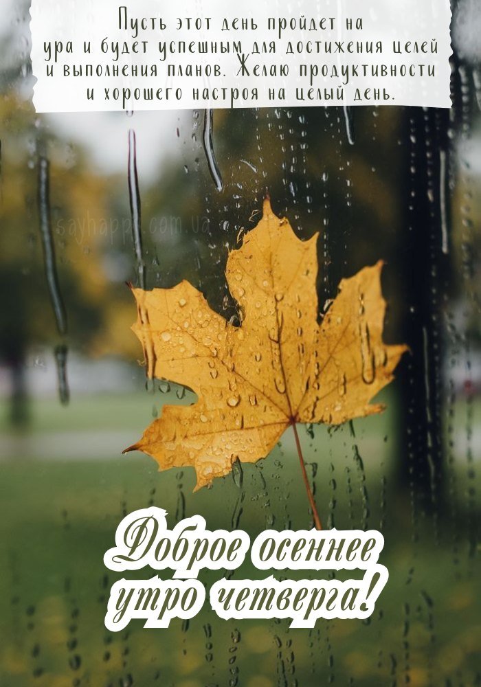 Осіннє ранку четверга 