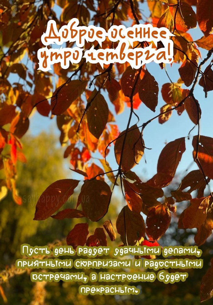 Прекрасного ранку четверга, наповненого світлом і радістю.
