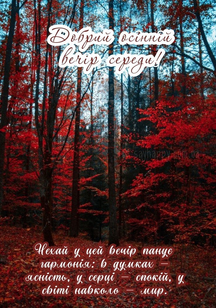 Теплий вечір