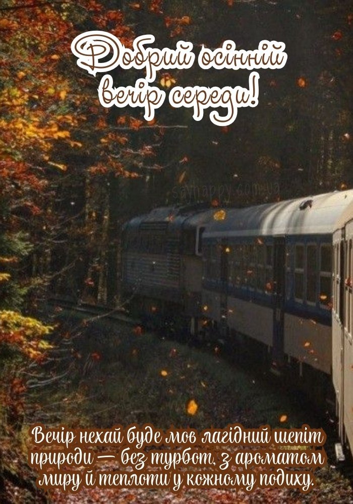 Ніжність вечора