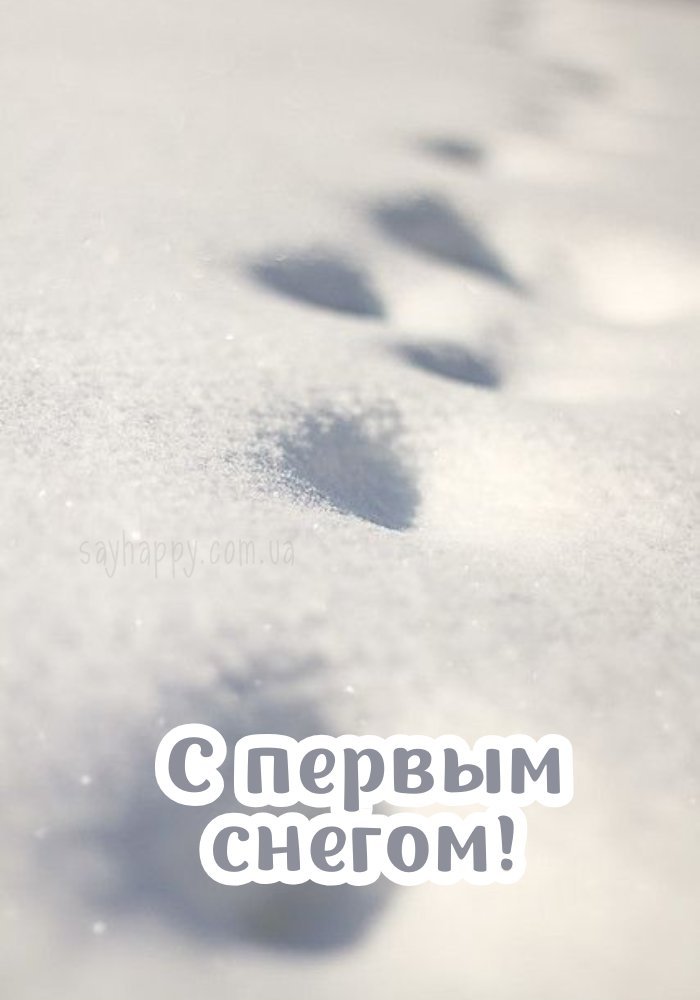 Природа ніби завмирає, вітаючи біле диво.