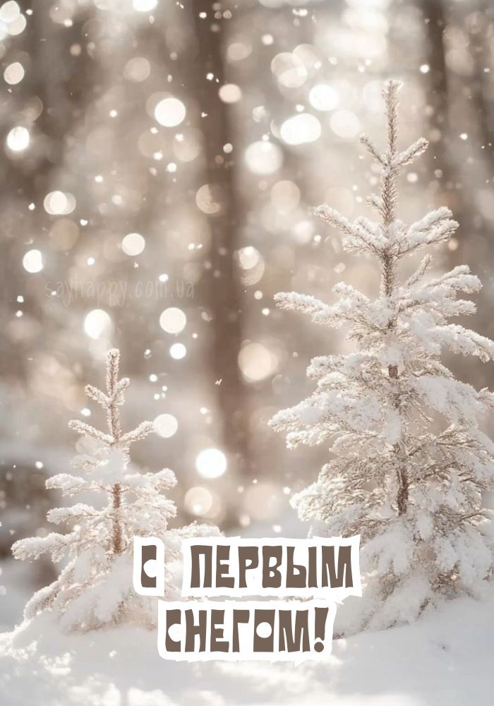 Перші сніжинки падають на гілки, сяючи на світлі.