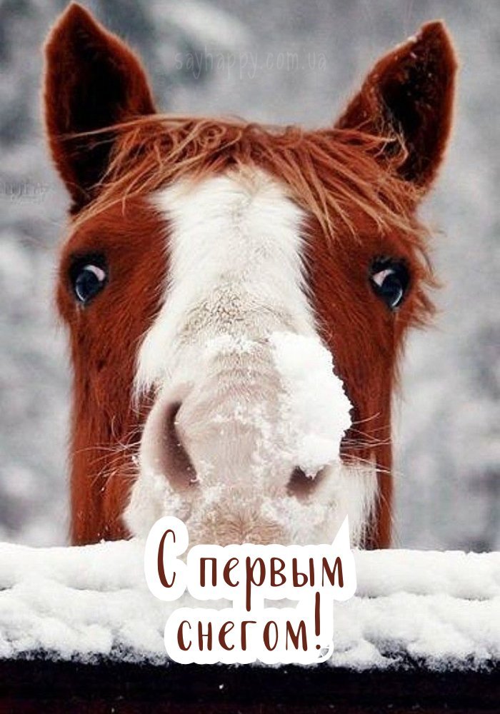 Картинка з першим снігом