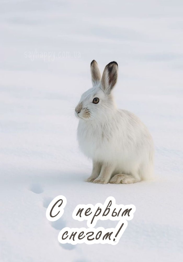 Перший сніг
