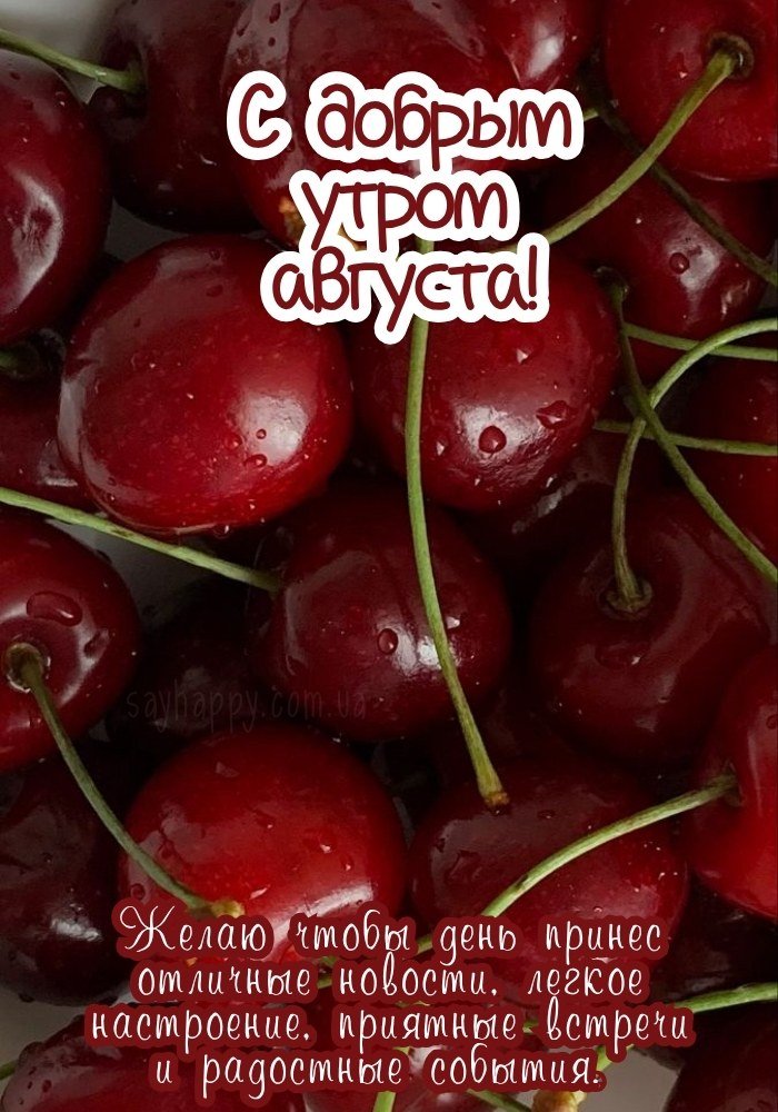 Яркое августовское утро с добрым словом для начала дня