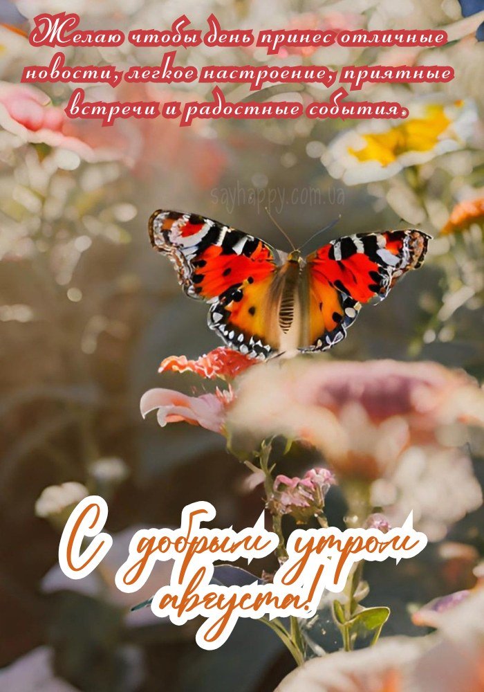 Летнего чудесного утра