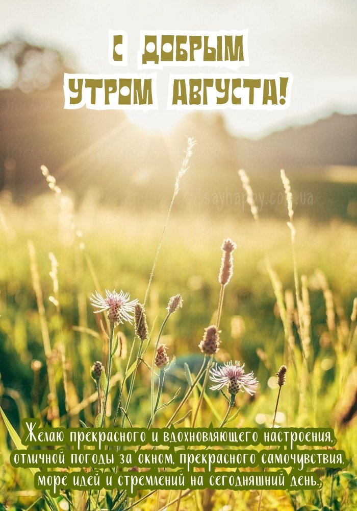 Августовский привет утром