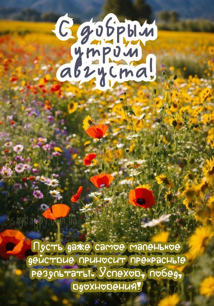 Желаю светлого дня, наполненного теплом