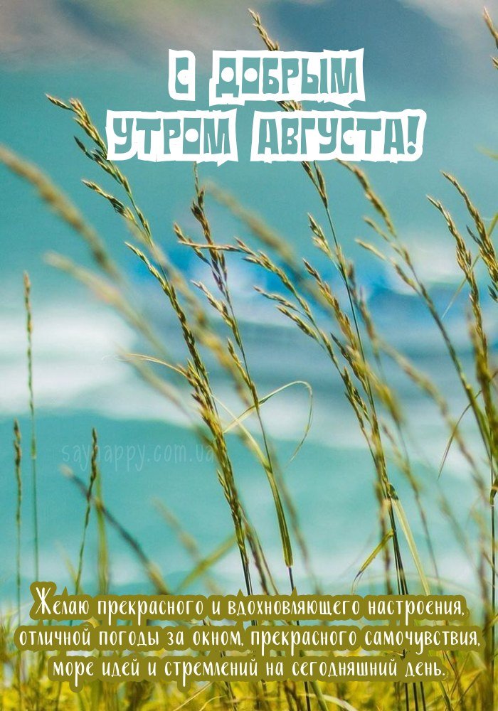 С добрым и прекрасным утром августа!