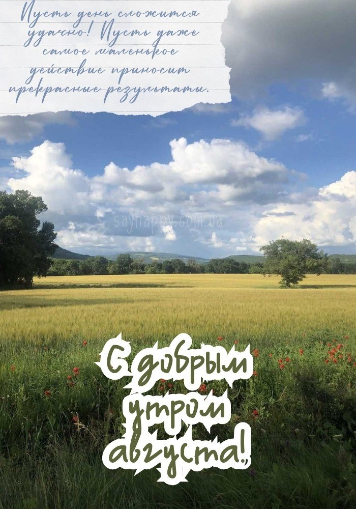Нежное августовское утро с мыслями о хорошем
