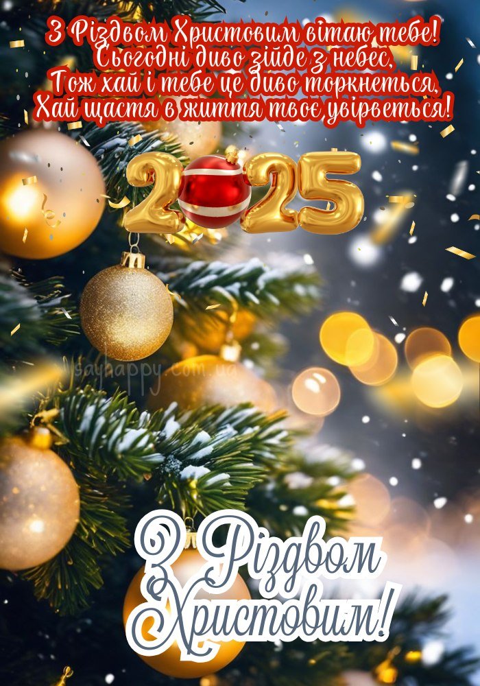З Різдвом Христовим 2025!