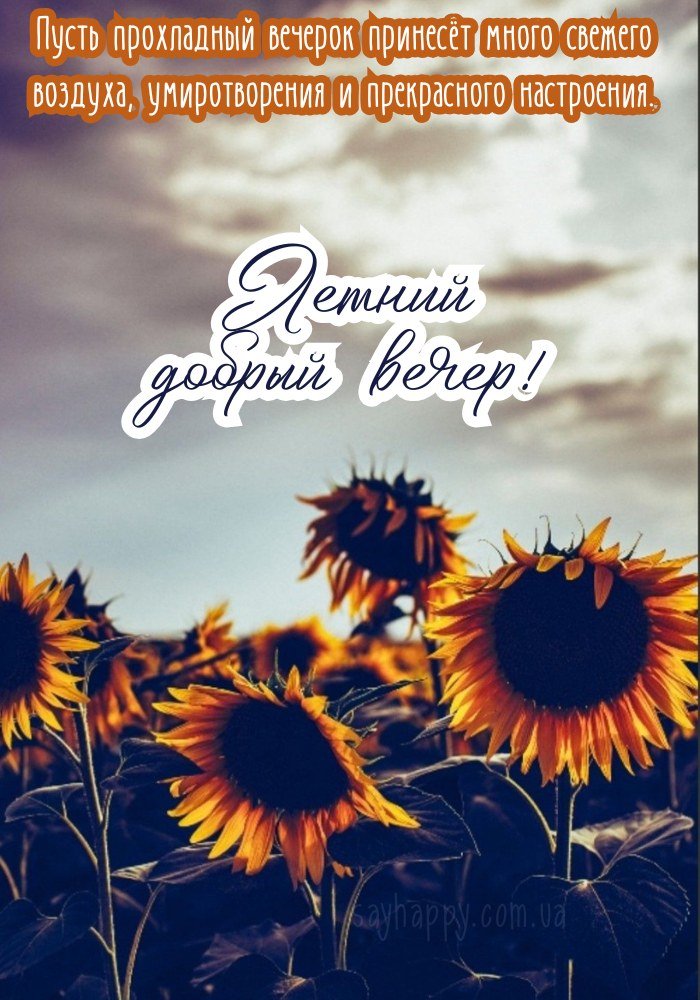 Приємний літній вечір – нехай принесе щастя.