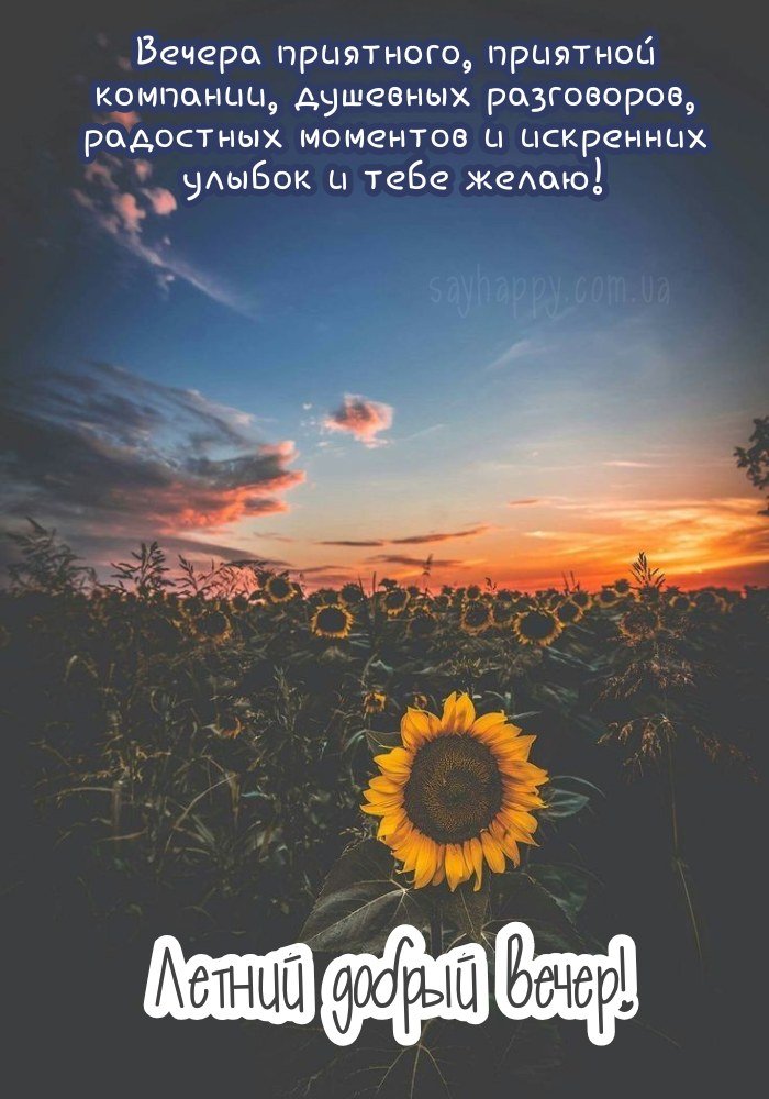 Літній вечір із ароматом спокою