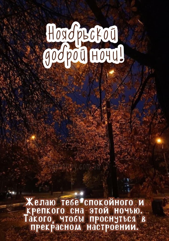 Спокійної листопадової ночі картинка