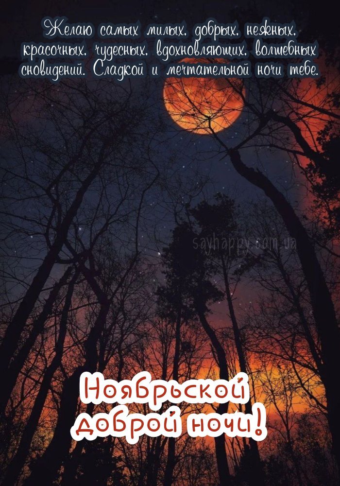 Прекрасної листопадової ночі, повної затишку і тепла