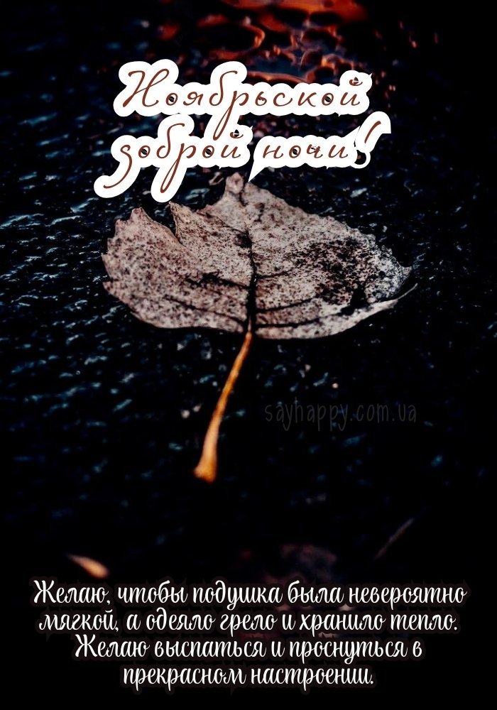 Спокійної листопадової ночі, повної добрих почуттів