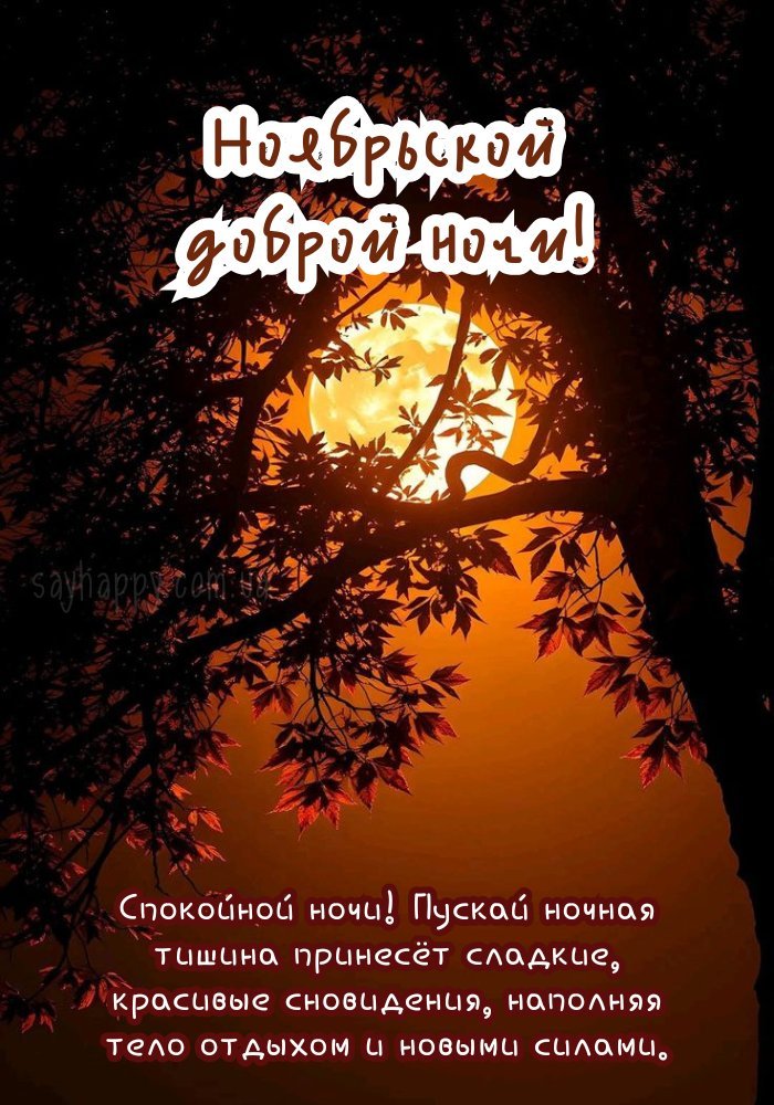 Затишної листопадової ночі
