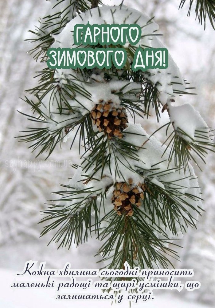 Гарного зимового дня, що додає сил і впевненості
