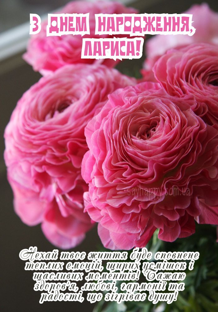 Ларисі у святковому