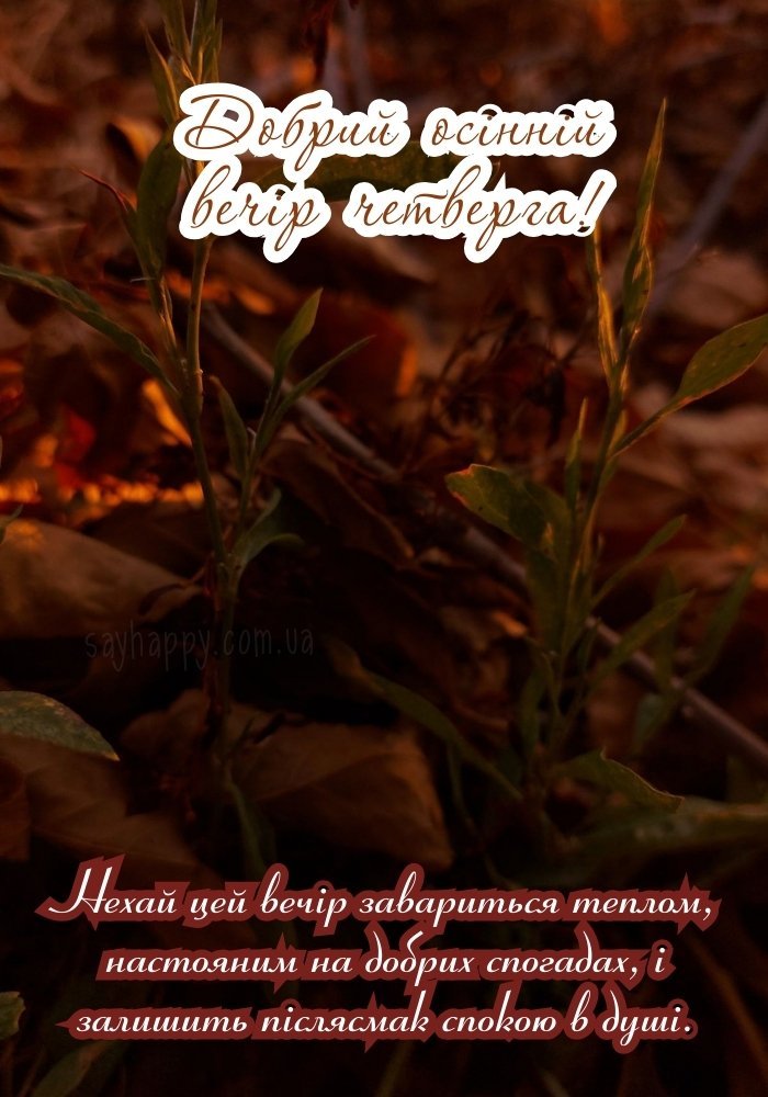 Тихого осіннього вечора четверга