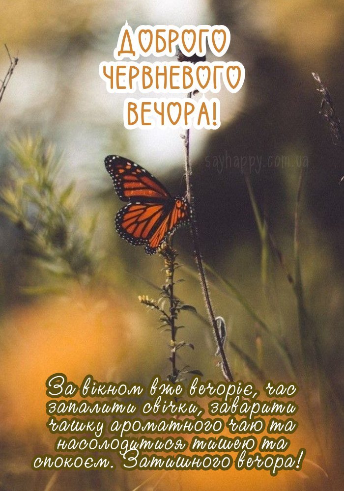 Зображення з побажанням доброго вечора в літню пору