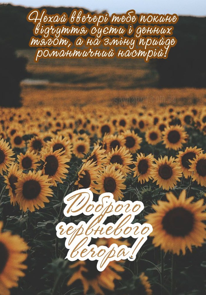Вечірній настрій літа з добрими побажаннями