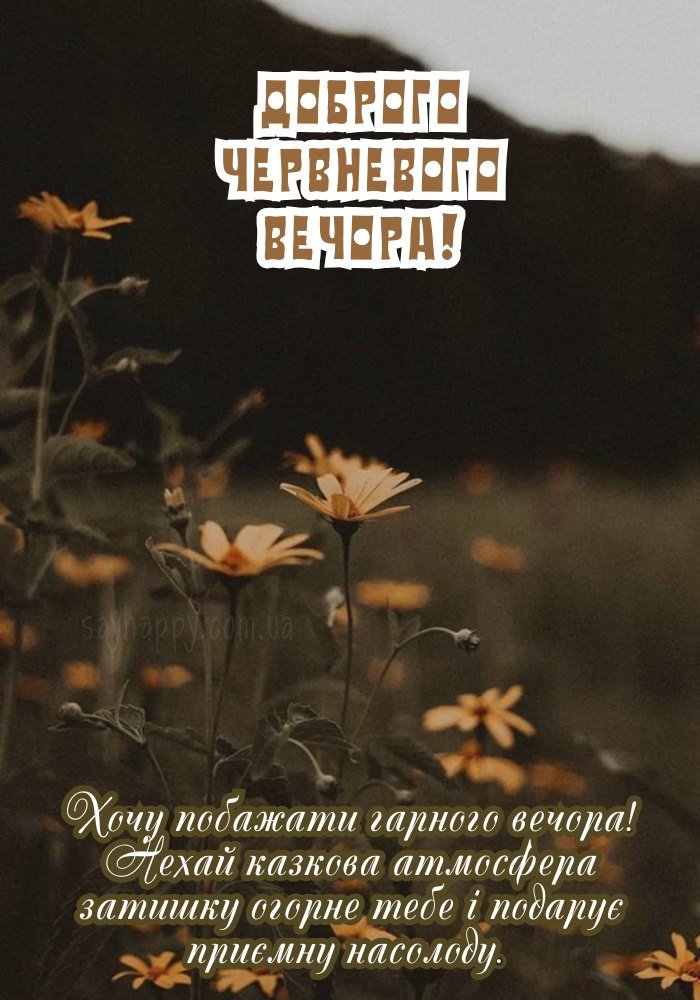 Зображення затишного вечора в мирному червні