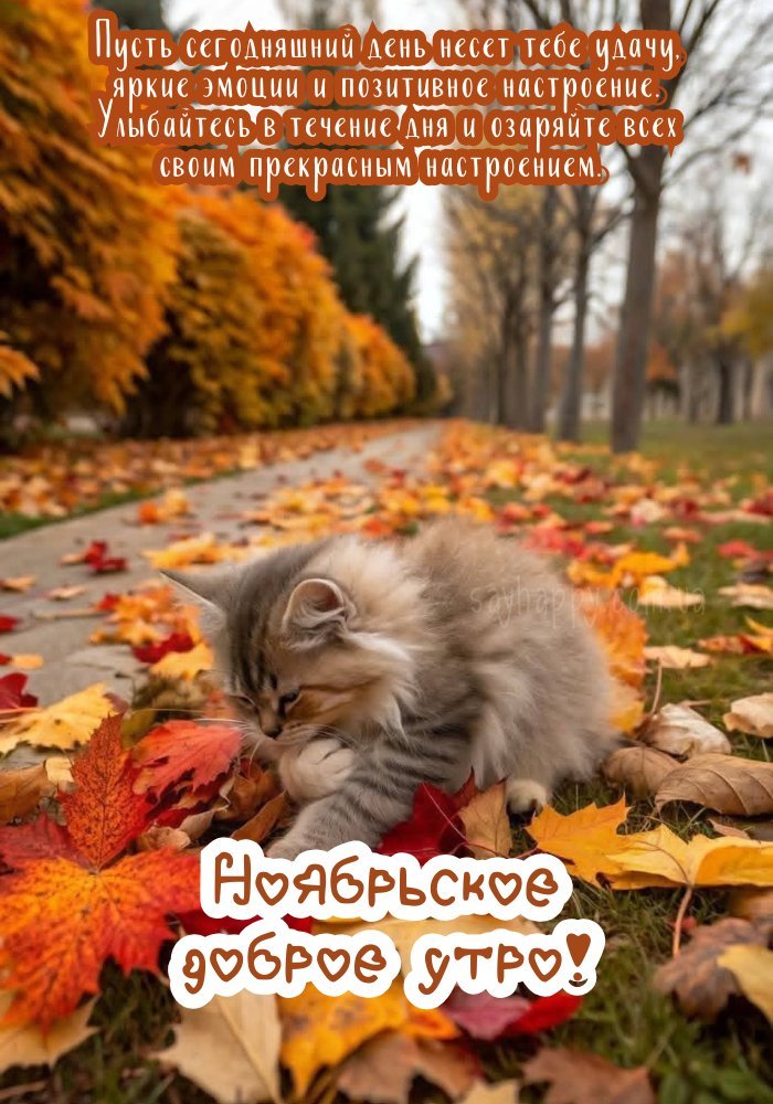Прекрасного листопадового ранку картинка