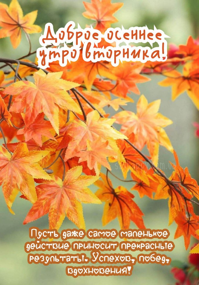 Добрий ранок вівторка