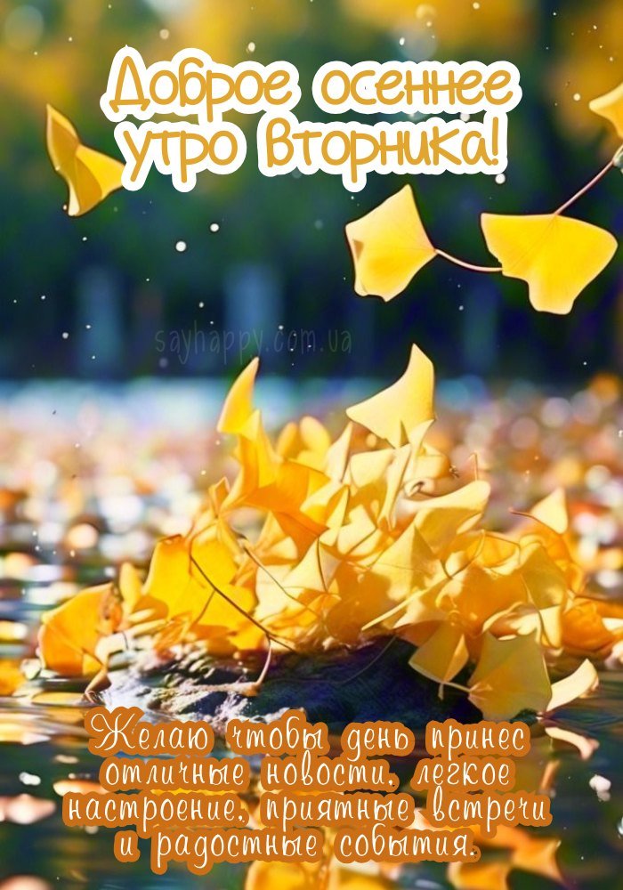 Ніжного осіннього ранку у вівторок — нехай він подарує затишок, усмішки