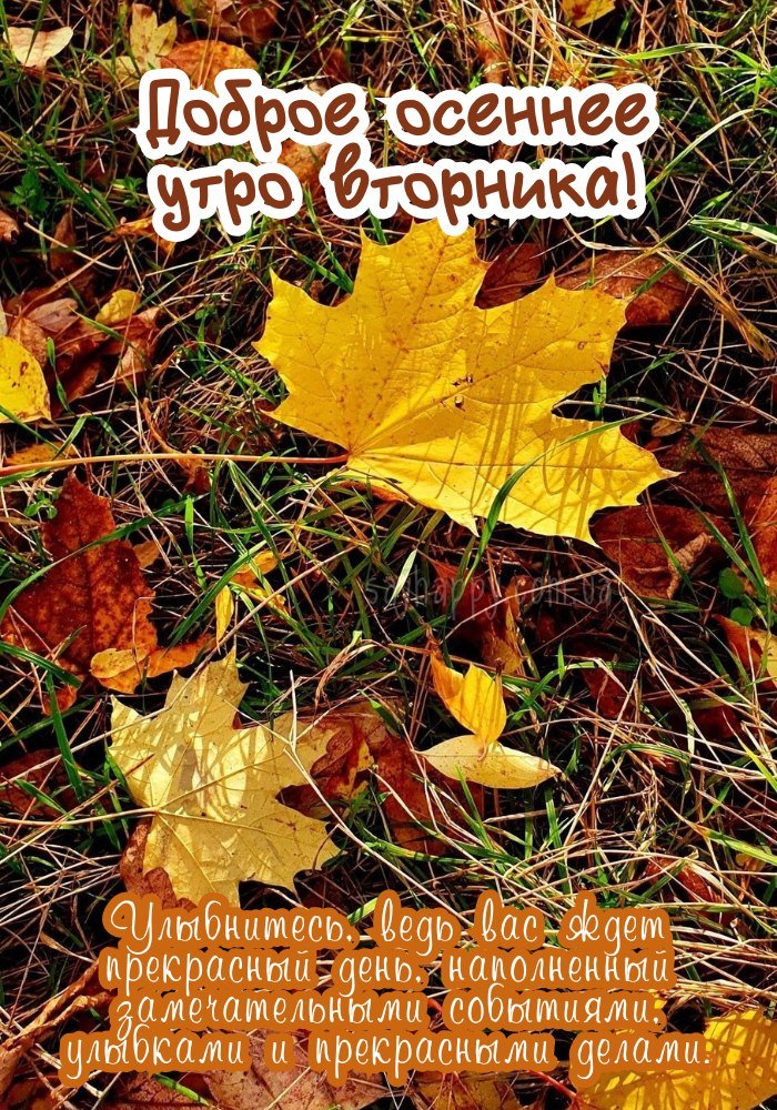 Радісного осіннього ранку вівторка