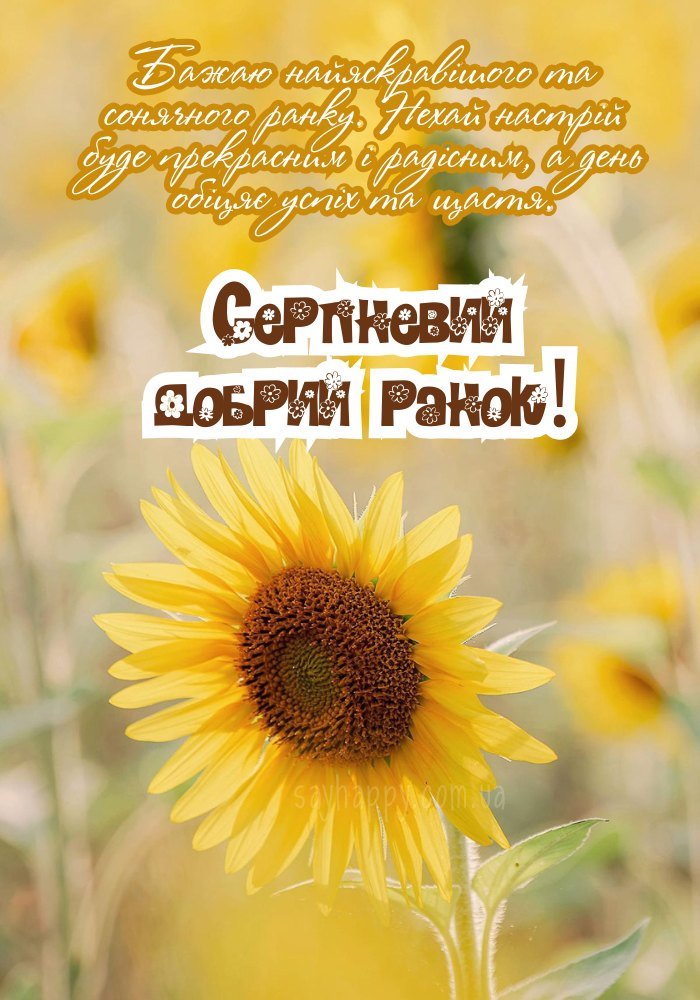 Ранок серпня